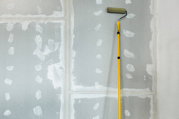 Best Black Mold Removal  in Chickasha, OK