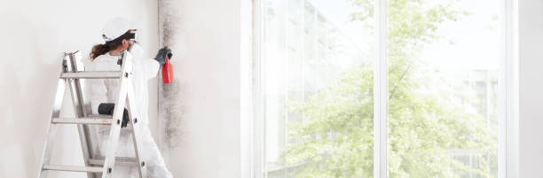 Best Mold Remediation for Healthcare Facilities  in Chickasha, OK