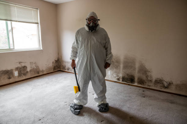 Mold Remediation for Vacation Homes in Chickasha, OK